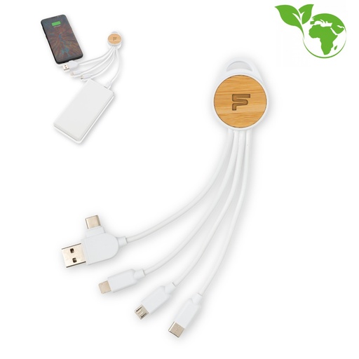 6-in-1 cable