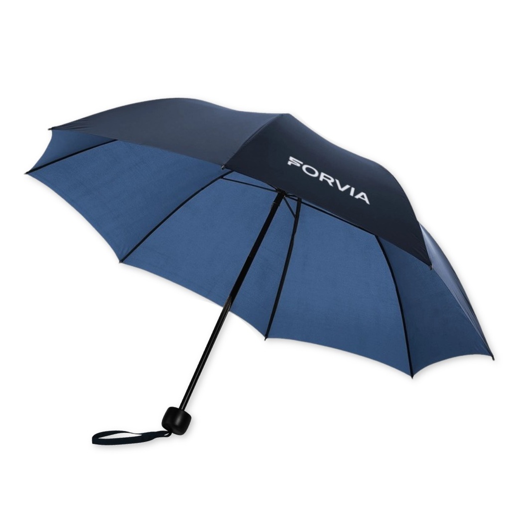 Pocket umbrella